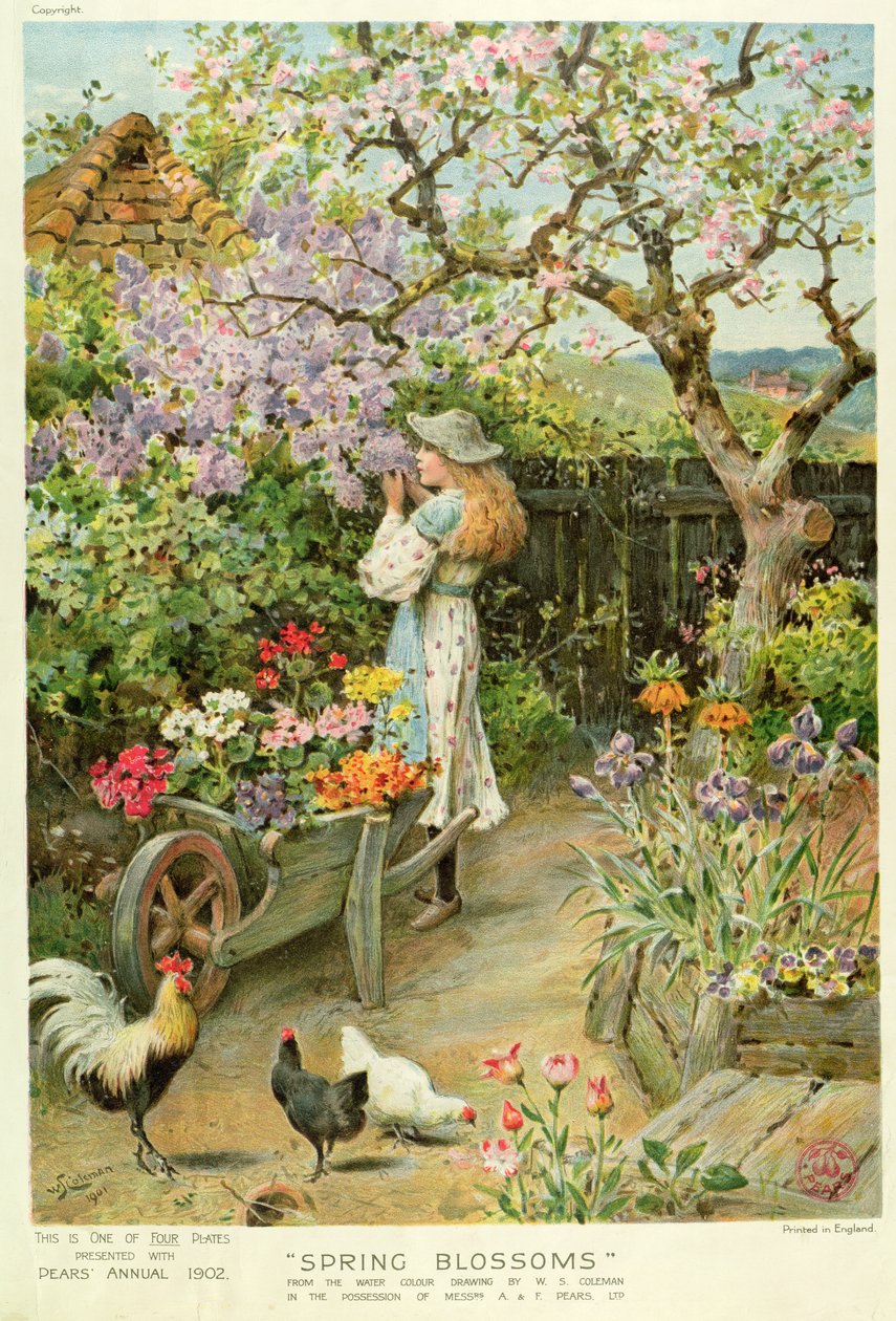 Kwiaty wiosny, z rocznika Pears, 1902 autorstwa William Stephen Coleman