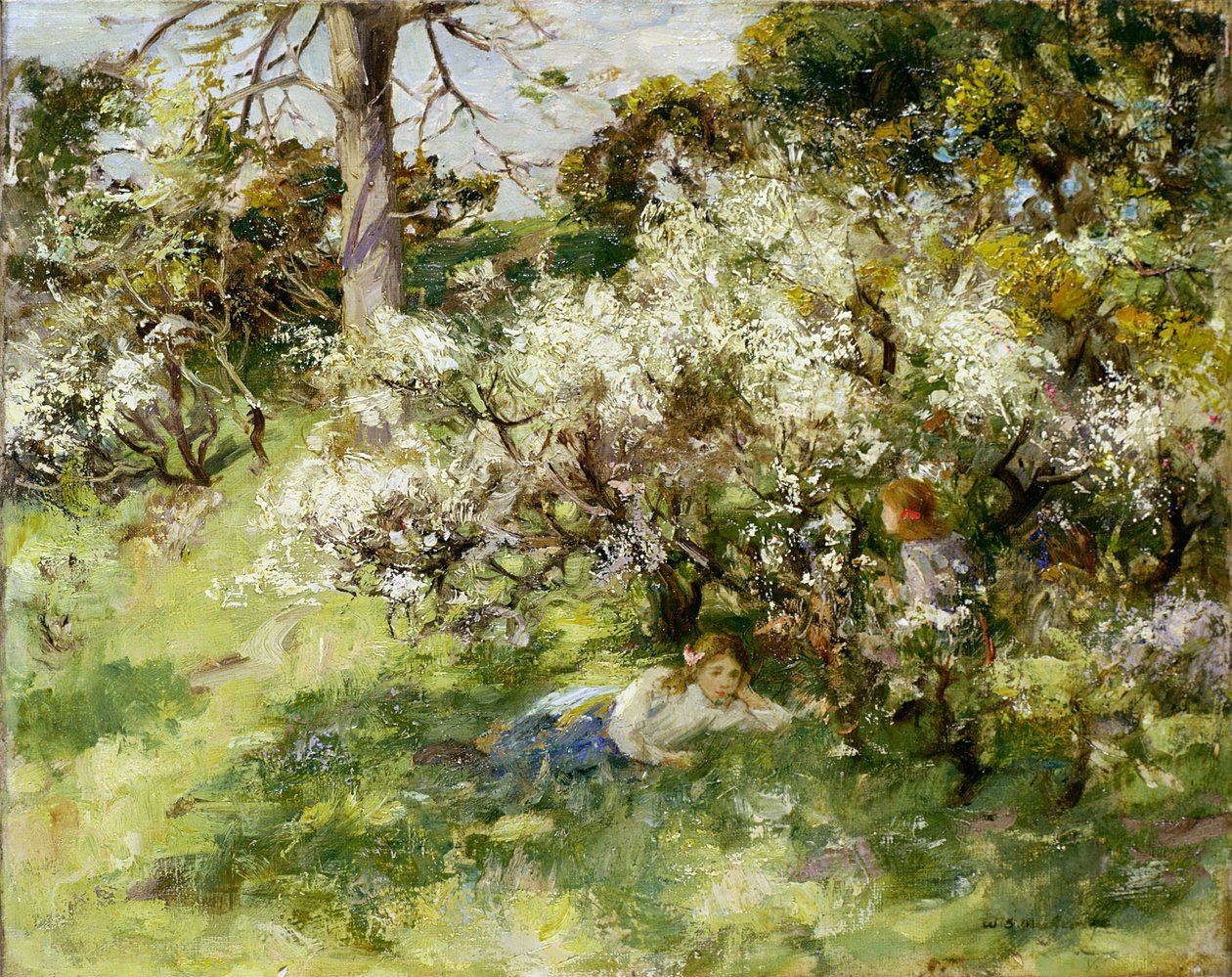 Kwiat tarniny autorstwa William Stewart MacGeorge