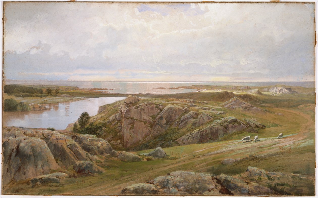Lily Pond, Newport, 1877 (wc na papierze) autorstwa William Trost Richards