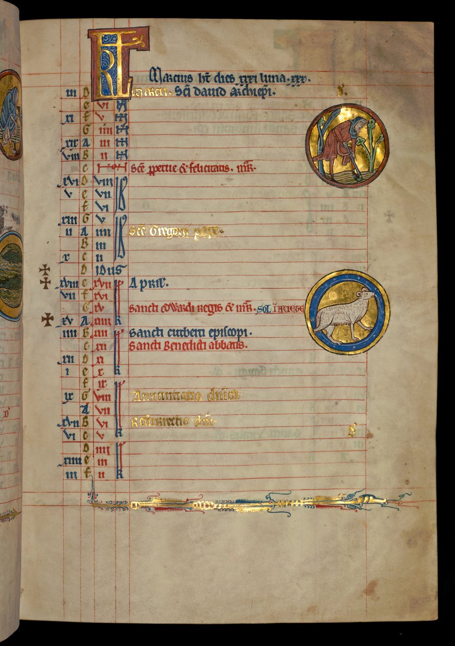 Ms 322 f.2r, marzec, mężczyzna kopiący, ilustracja z „De Brailes Psałterz”, c.1250 autorstwa William de Brailes  