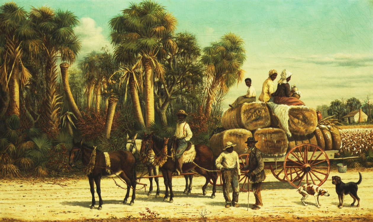 Bawełniany Wóz, autorstwa William Aiken Walker