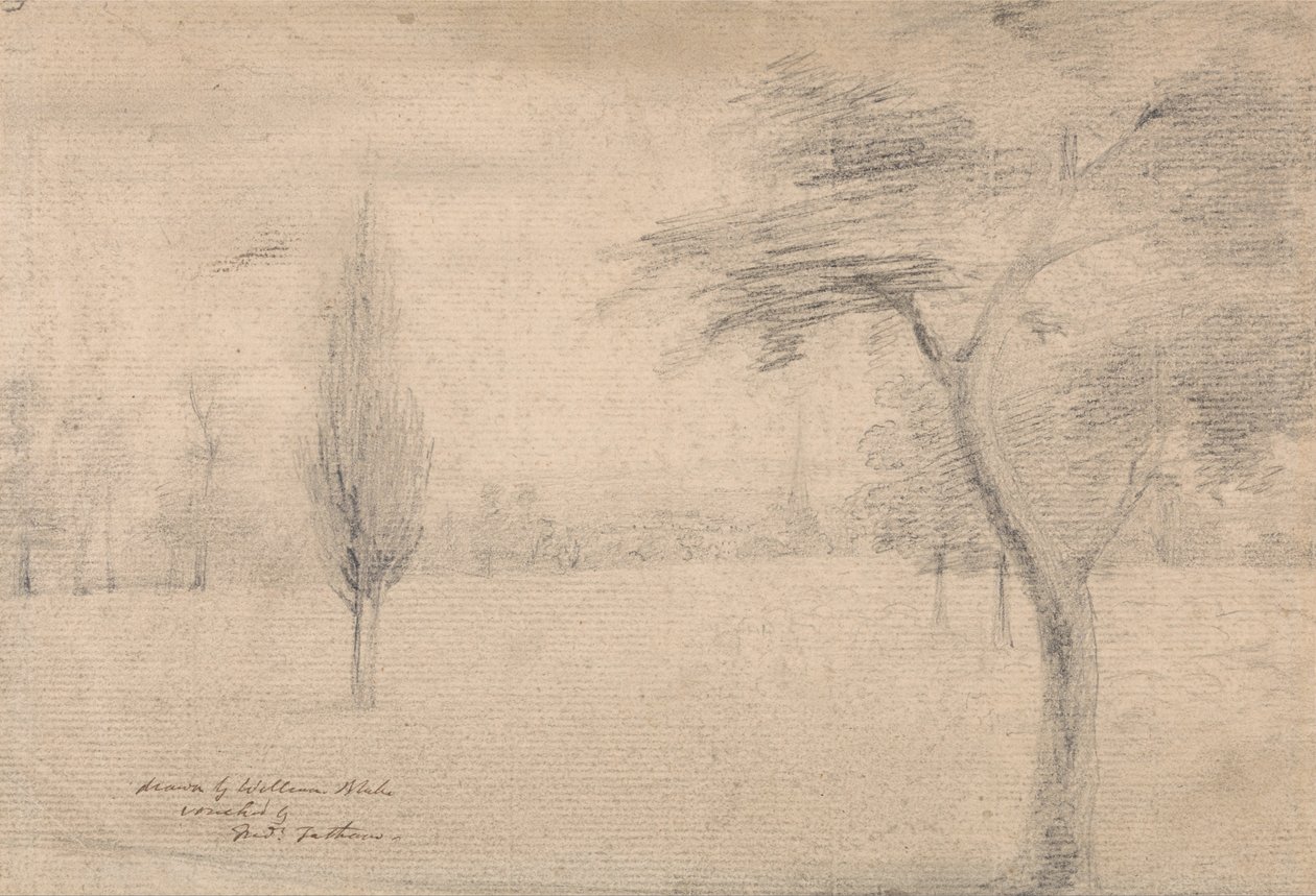 Krajobraz z Iglicą autorstwa William Blake