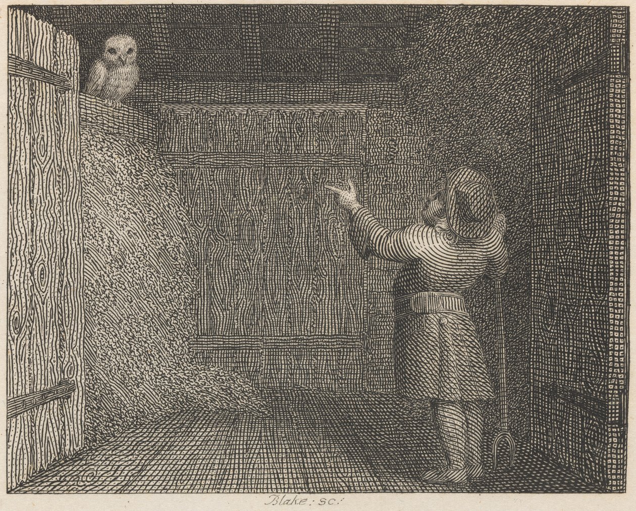 Sowa i rolnik autorstwa William Blake