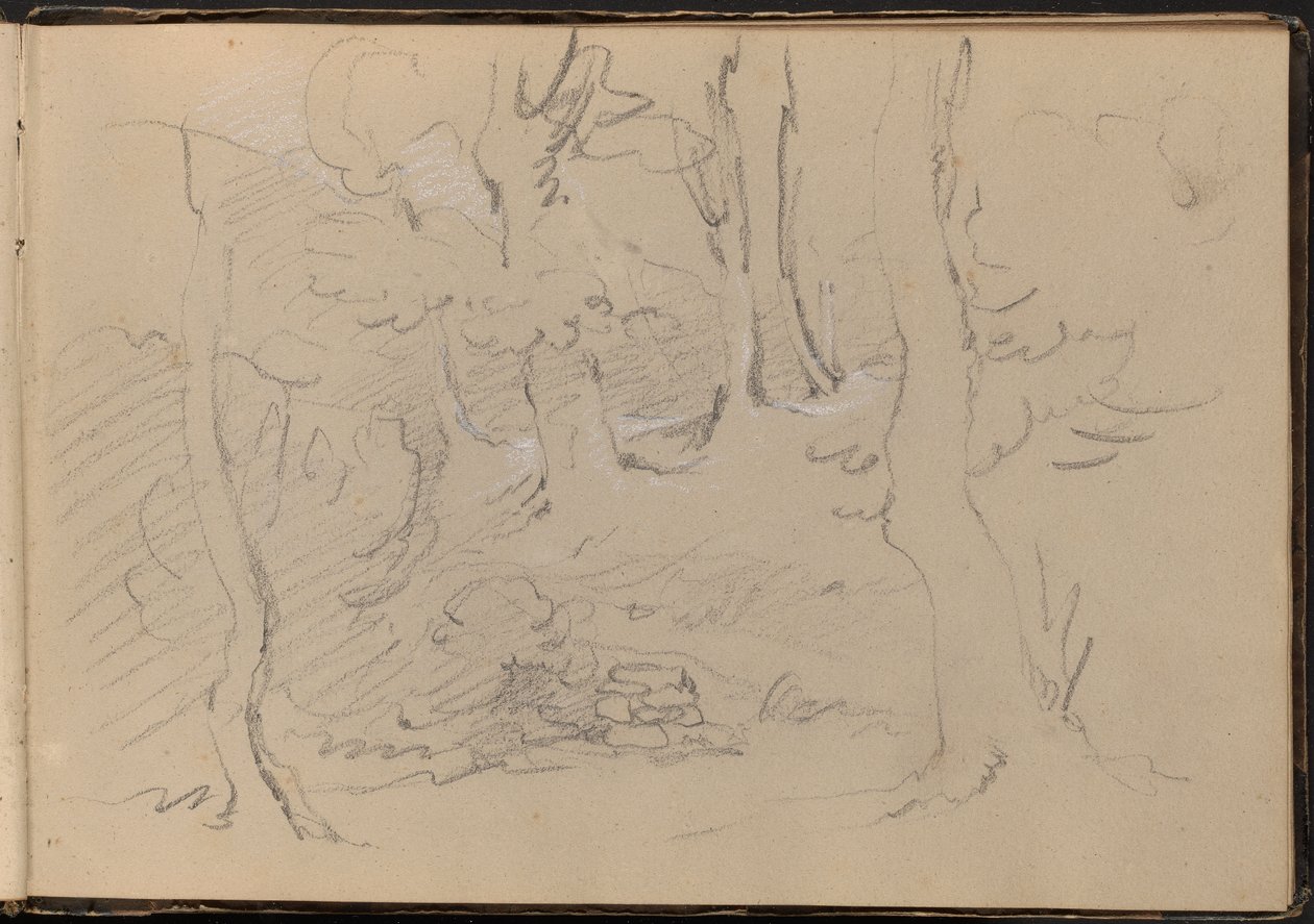 Szkic grupy drzew autorstwa William Brockedon