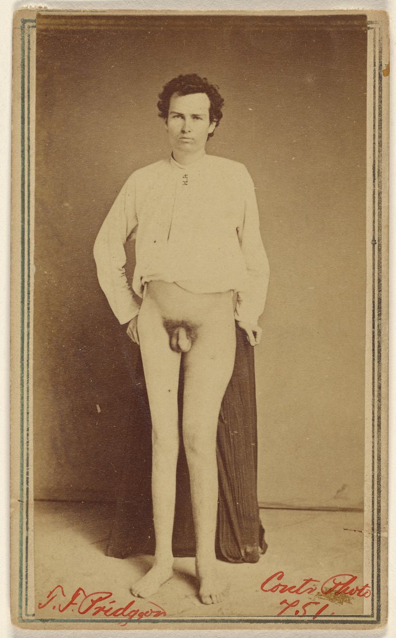 T.F. Pridgeon [ofiara wojny secesyjnej] autorstwa William H. Bell