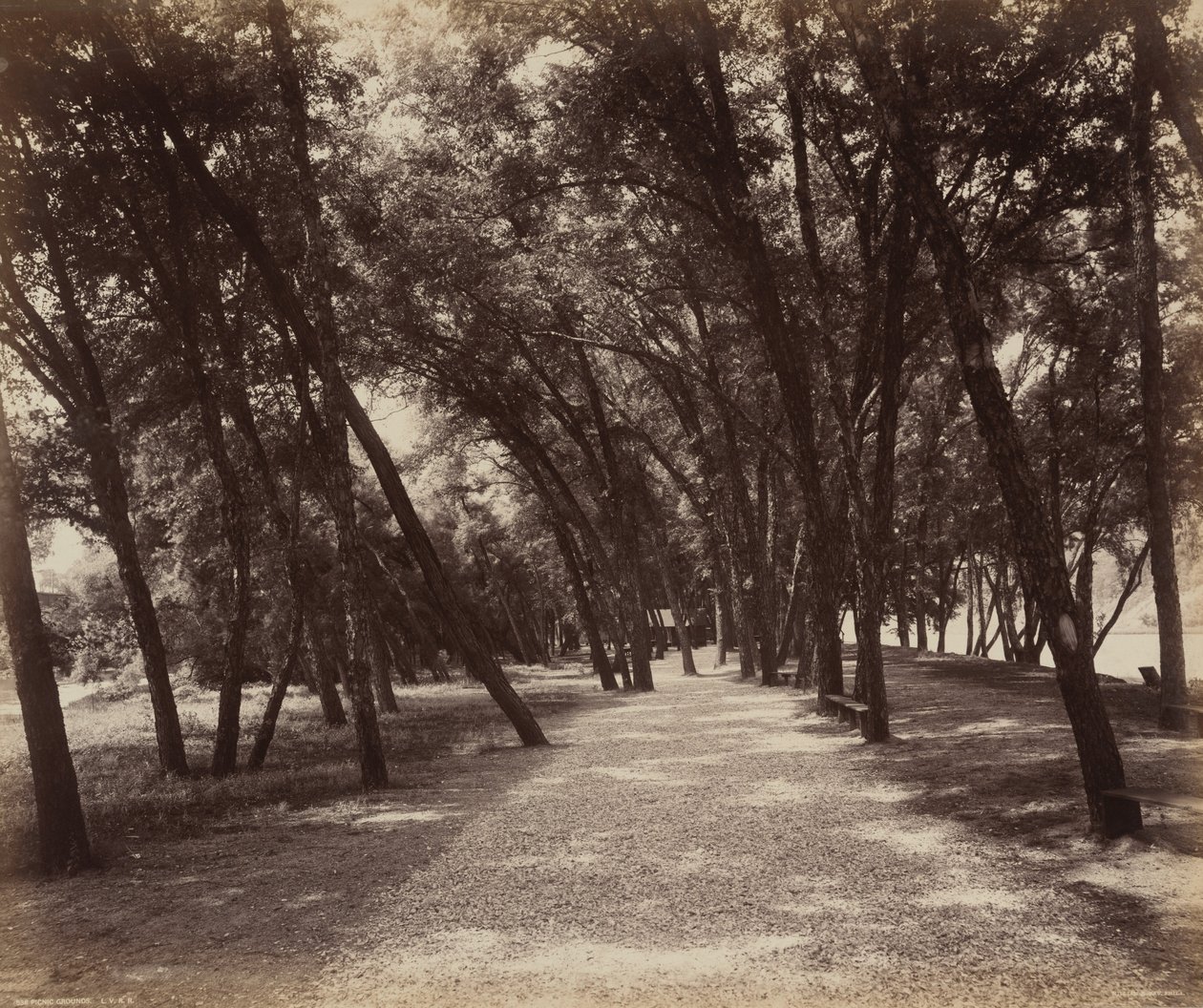 Teren piknikowy autorstwa William H. Rau