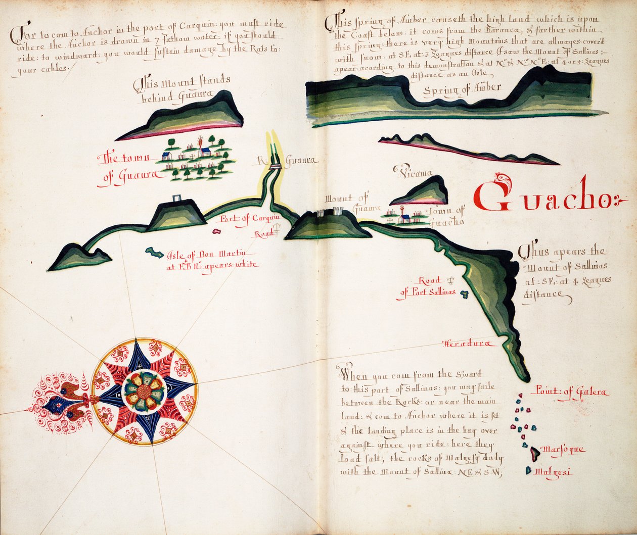 Guacho autorstwa William Hack