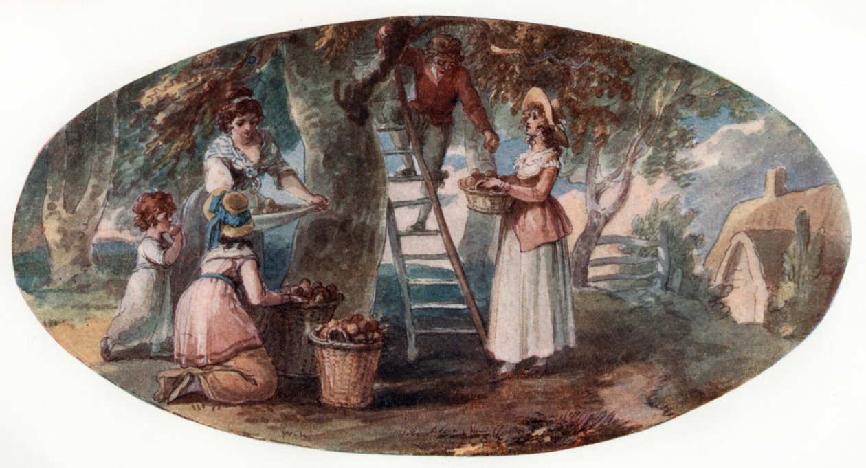 Zbieranie Owoców, koniec XVIII wieku. autorstwa William Hamilton