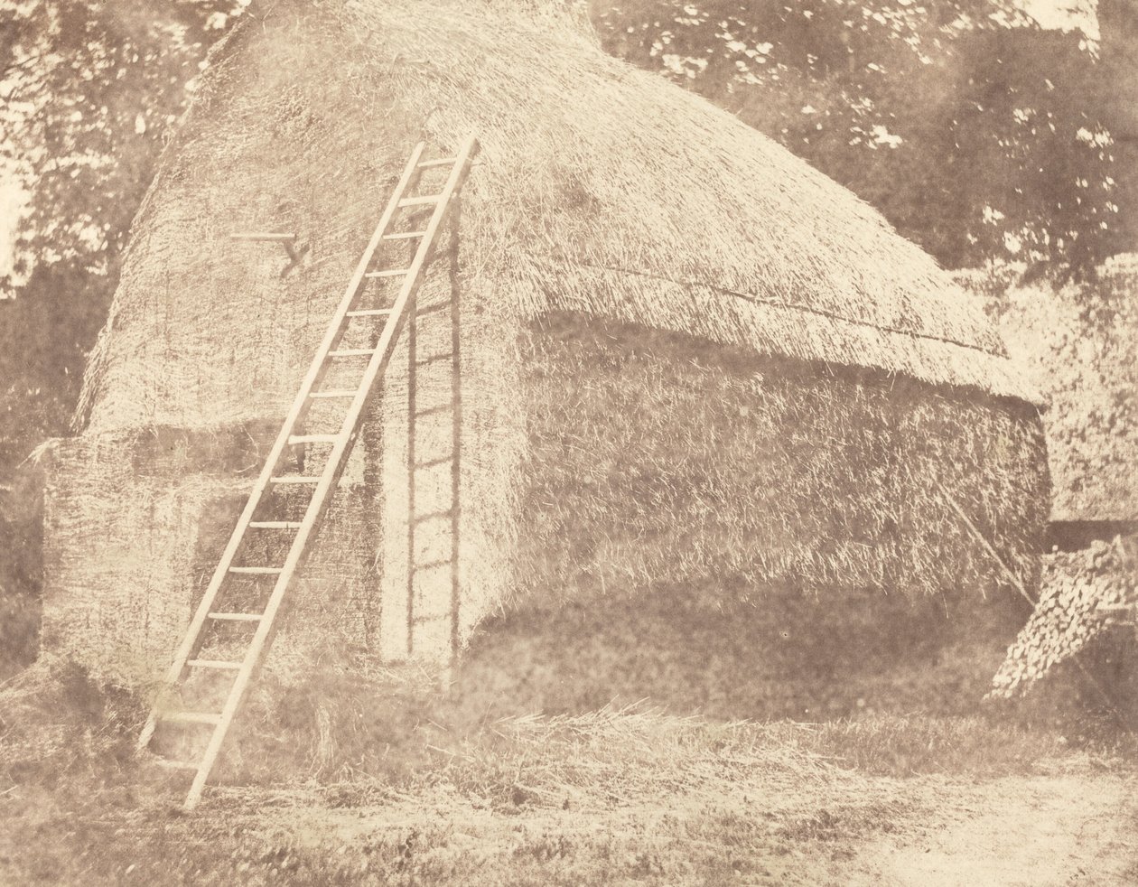 Stóg siana autorstwa William Henry Fox Talbot