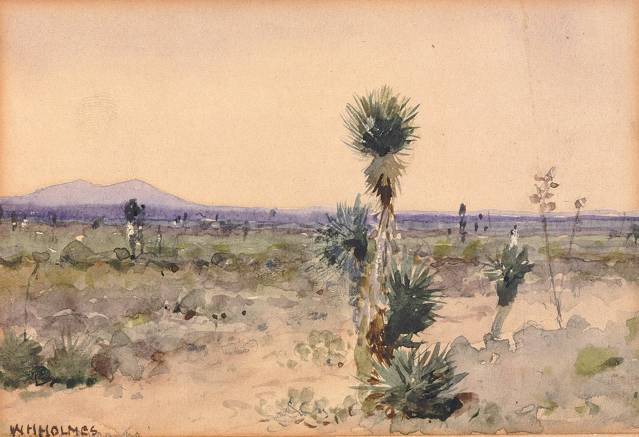 Yuccaland — Chihuahua, Meksyk, b.d. autorstwa William Henry Holmes