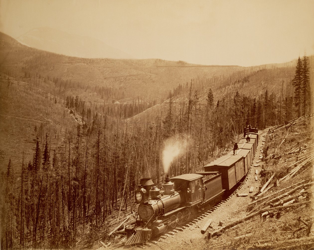 Marshall Pass, Westside autorstwa William Henry Jackson