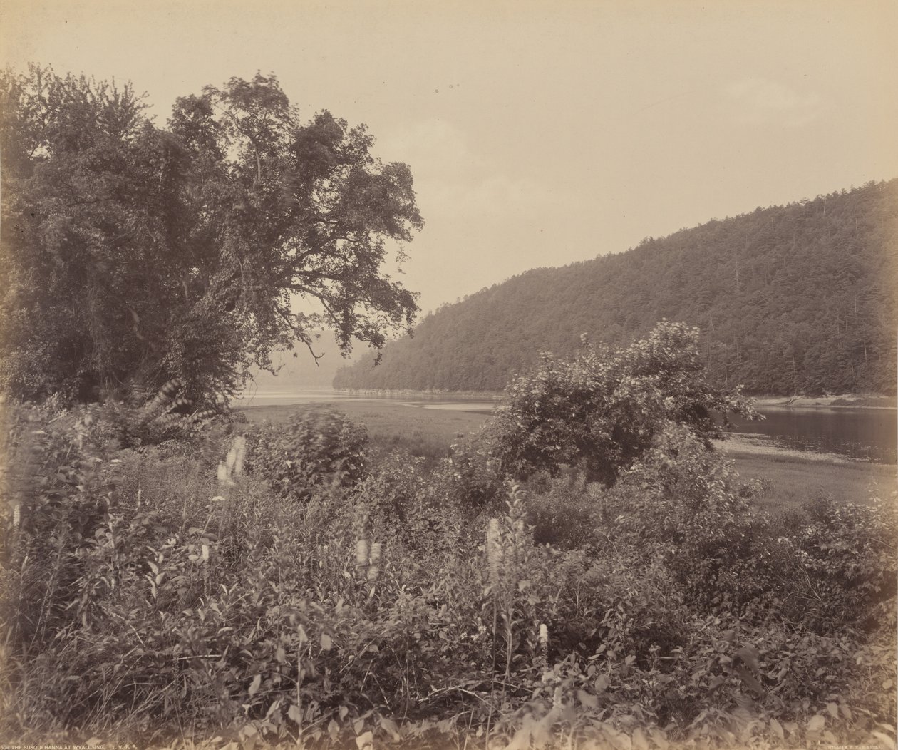 Susquehanna w Wyalusing, ok. 1895 (zdjęcie) autorstwa William Herman Rau