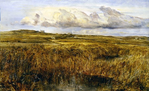 Rhoscolyn, Anglesey (olej na pokładzie) autorstwa William Joseph J.C. Bond