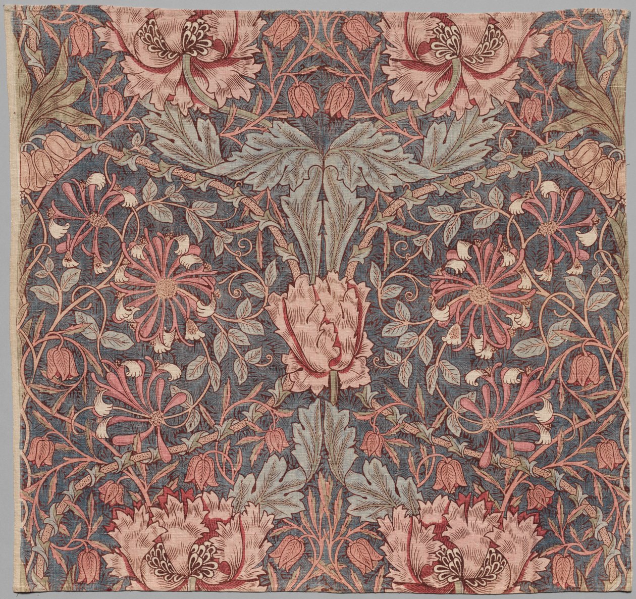 Wiciokrzew, początek XX wieku. autorstwa William Morris