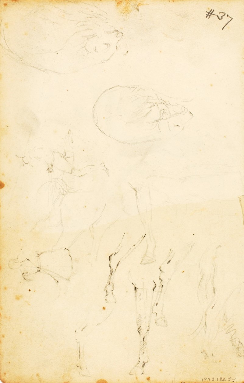 (Badania - figury, kłoda, koń i jeździec itp.). autorstwa William Page