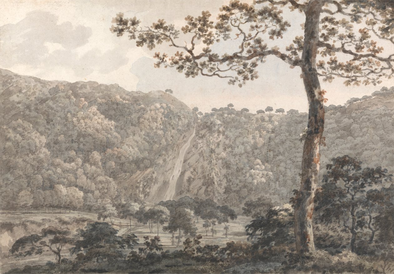 The Falls w Powerscourt, hrabstwo Wicklow, Irlandia autorstwa William Pars