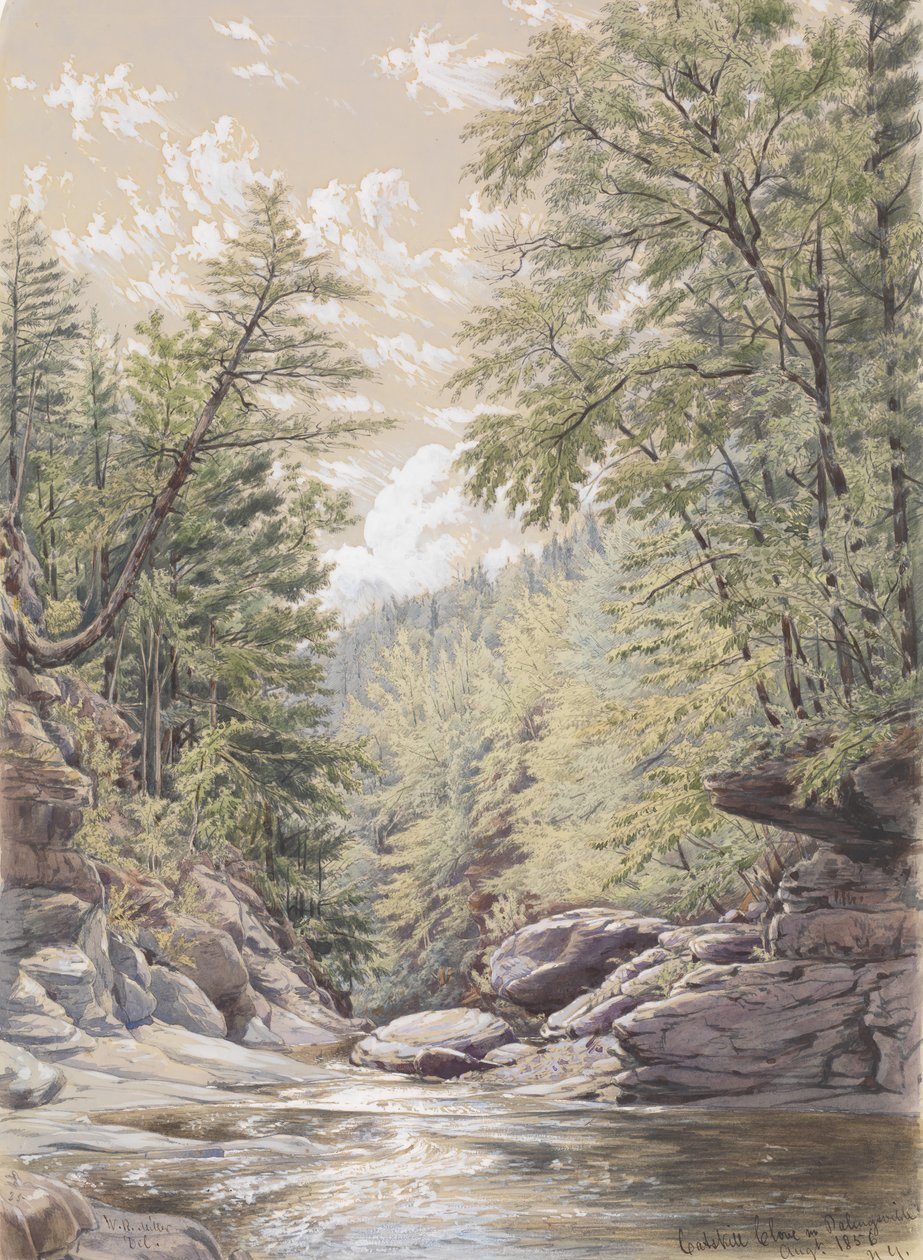 Ząbek Catskill w Palingsville, 1856. autorstwa William Rickarby Miller