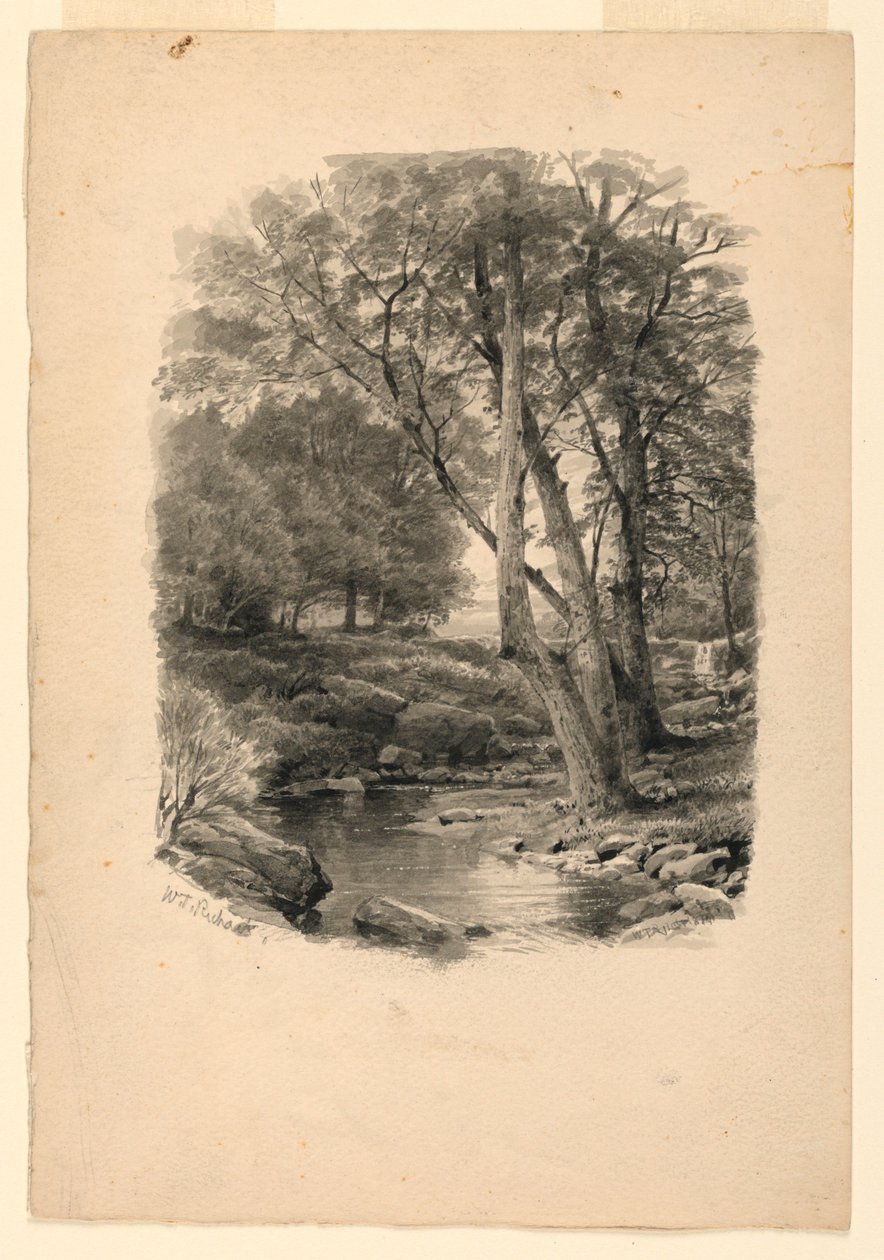 Basen w lesie autorstwa William Trost Richards