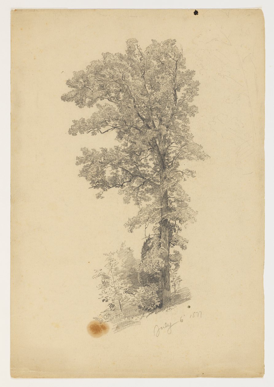 Badanie liści autorstwa William Trost Richards