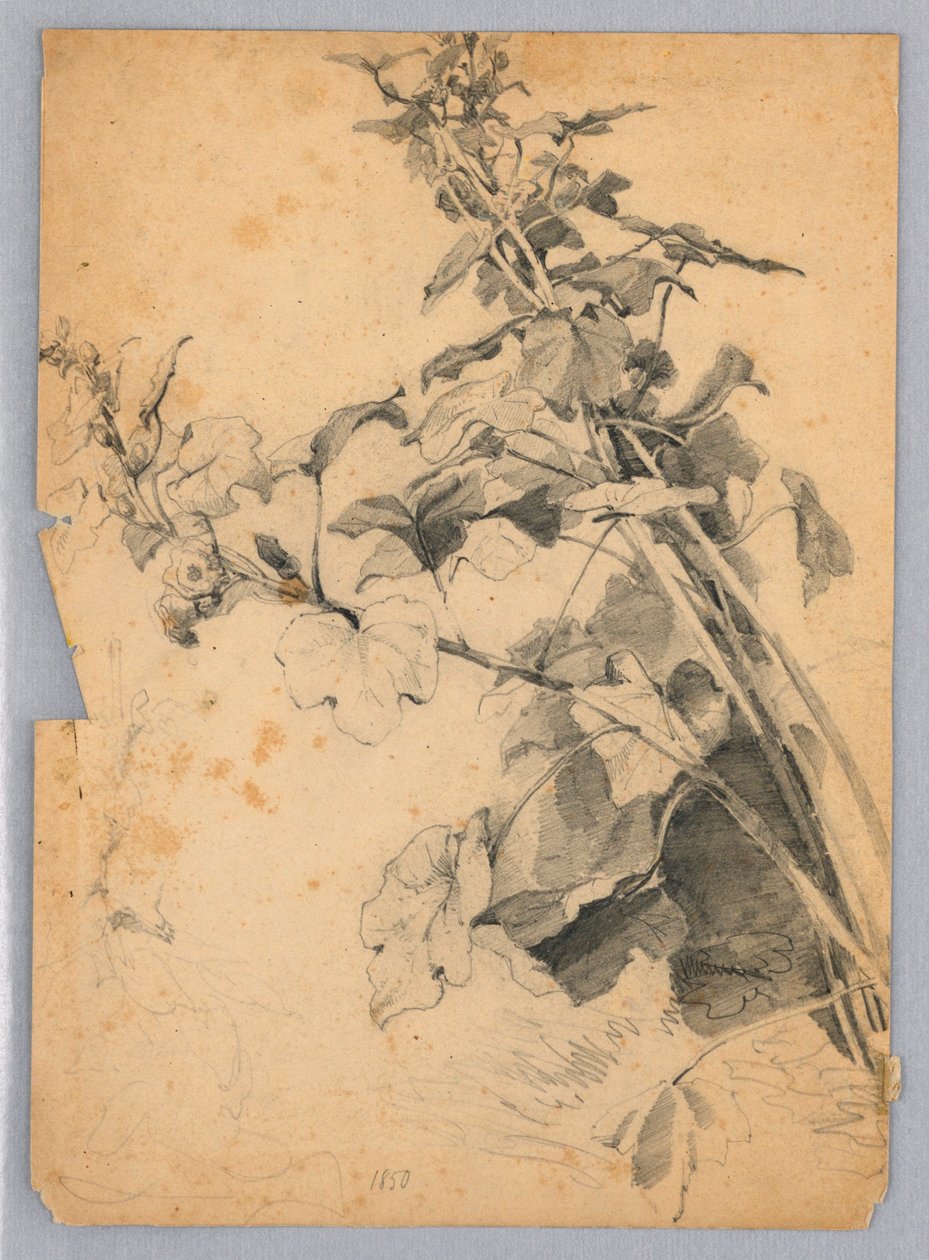 Badanie liści autorstwa William Trost Richards