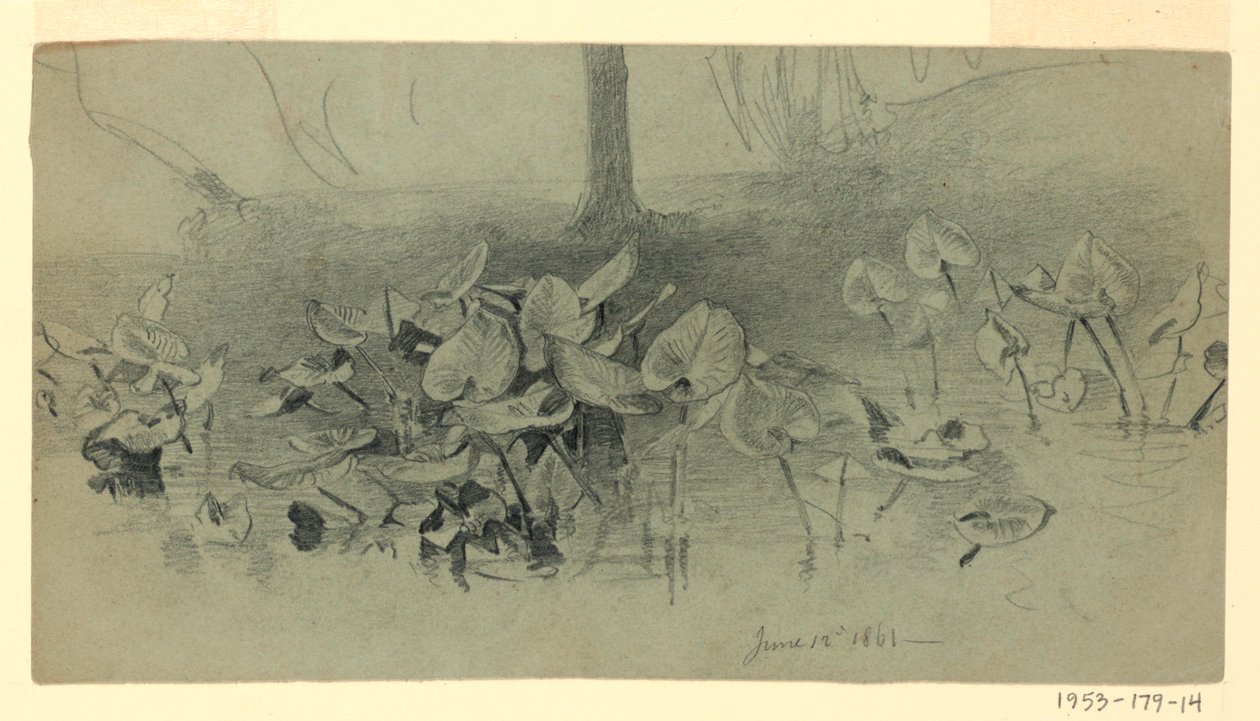 Badanie liści autorstwa William Trost Richards