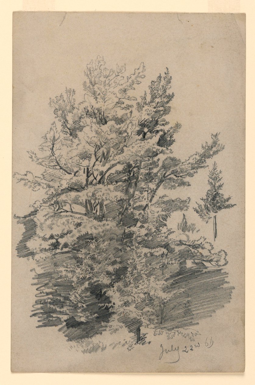 Badanie liści autorstwa William Trost Richards