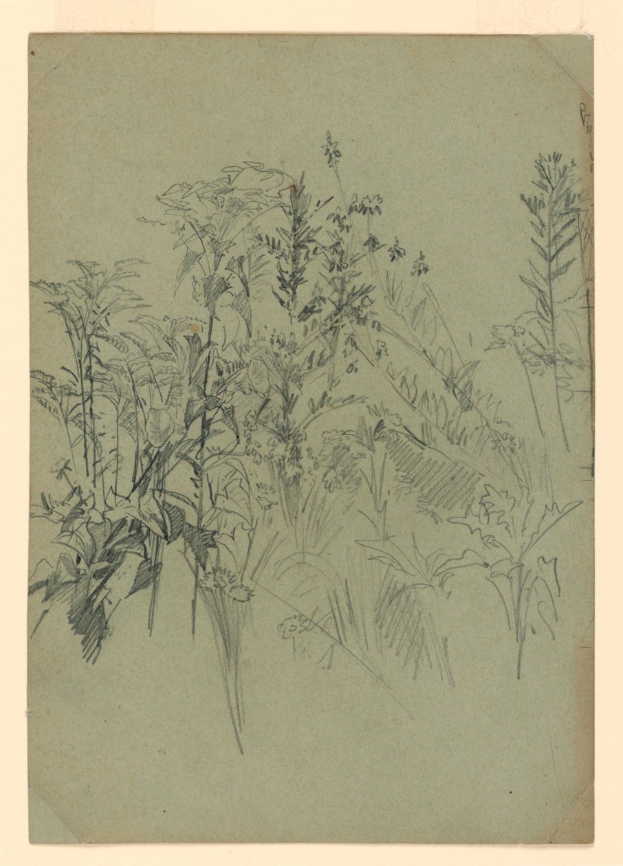Badanie liści autorstwa William Trost Richards