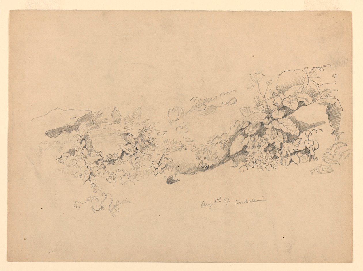 Badanie listowia, Trachselwald, Berno, Szwajcaria autorstwa William Trost Richards
