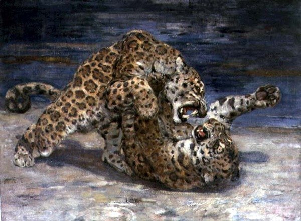 Walka lampartów, ok. 1910 (olej na płótnie) autorstwa William Walls