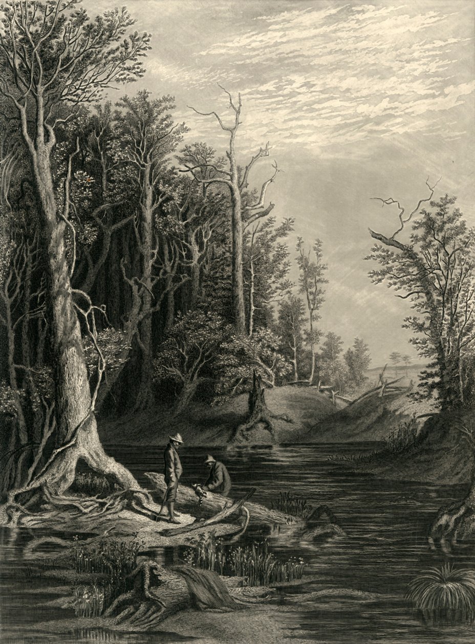 „Cickahominy”, 1872. autorstwa William Wellstood