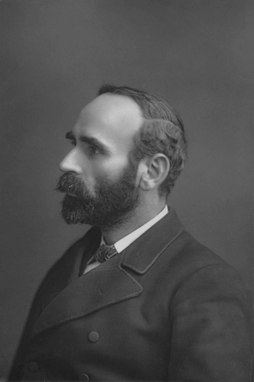 Pan Michael Davitt, ok. 1891 r. autorstwa William and Daniel Downey