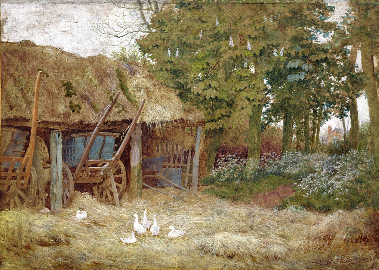 Нугас, 1880 (цаасан дээрх биеийн өнгө бүхий ариун цэврийн өрөө) поли autorstwa Wilmot Pilsbury