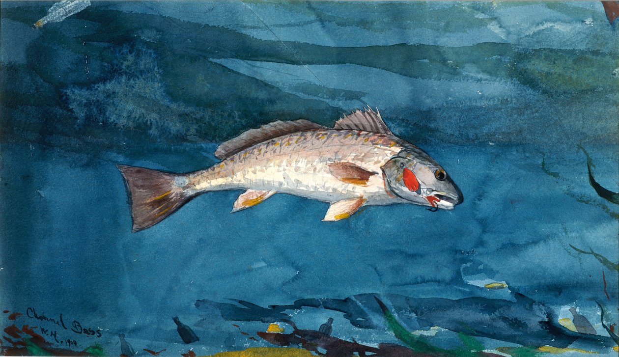 Kanał basowy autorstwa Winslow Homer