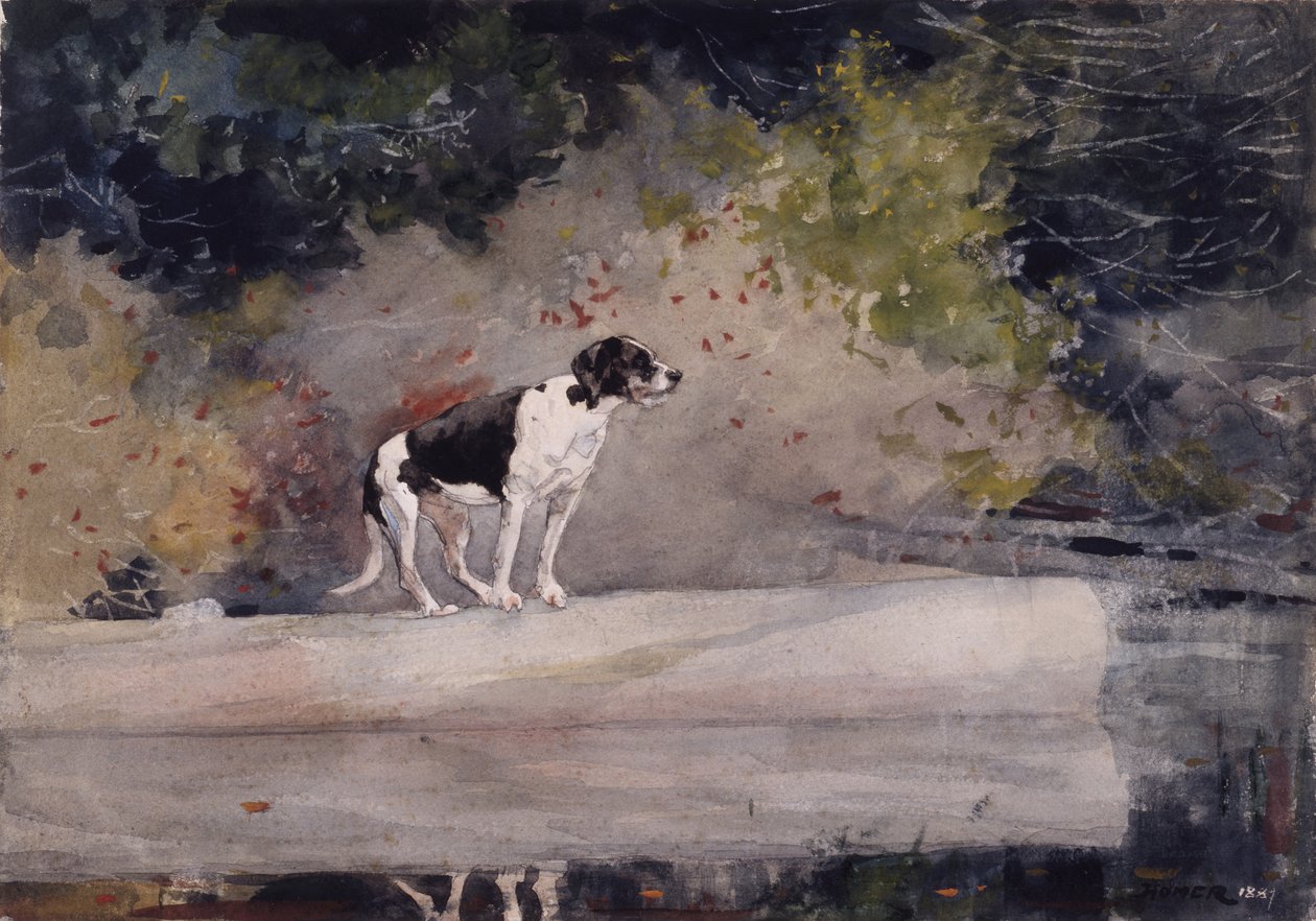 Pies na kłodzie, 1889 autorstwa Winslow Homer