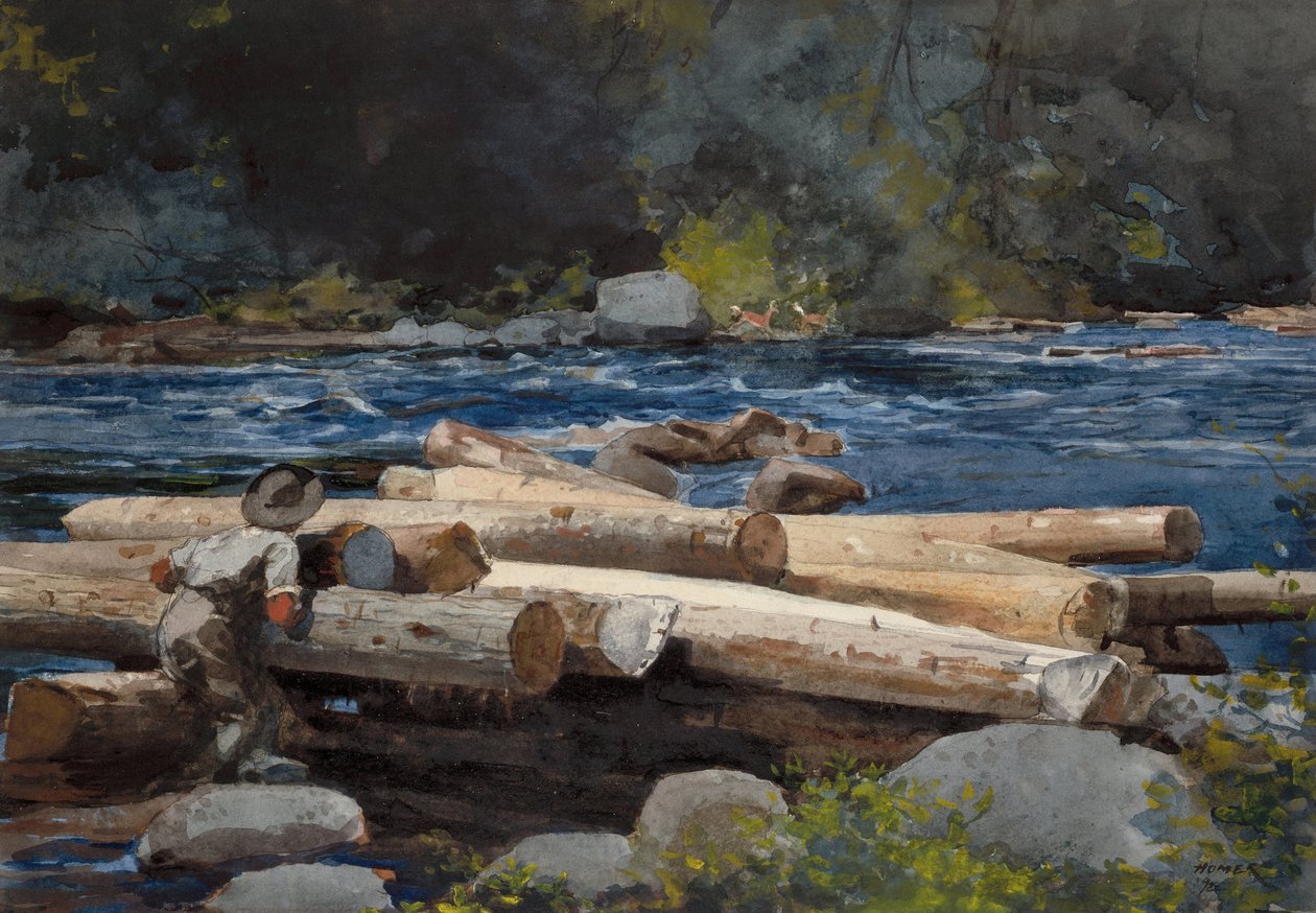 rzeka Hudson autorstwa Winslow Homer