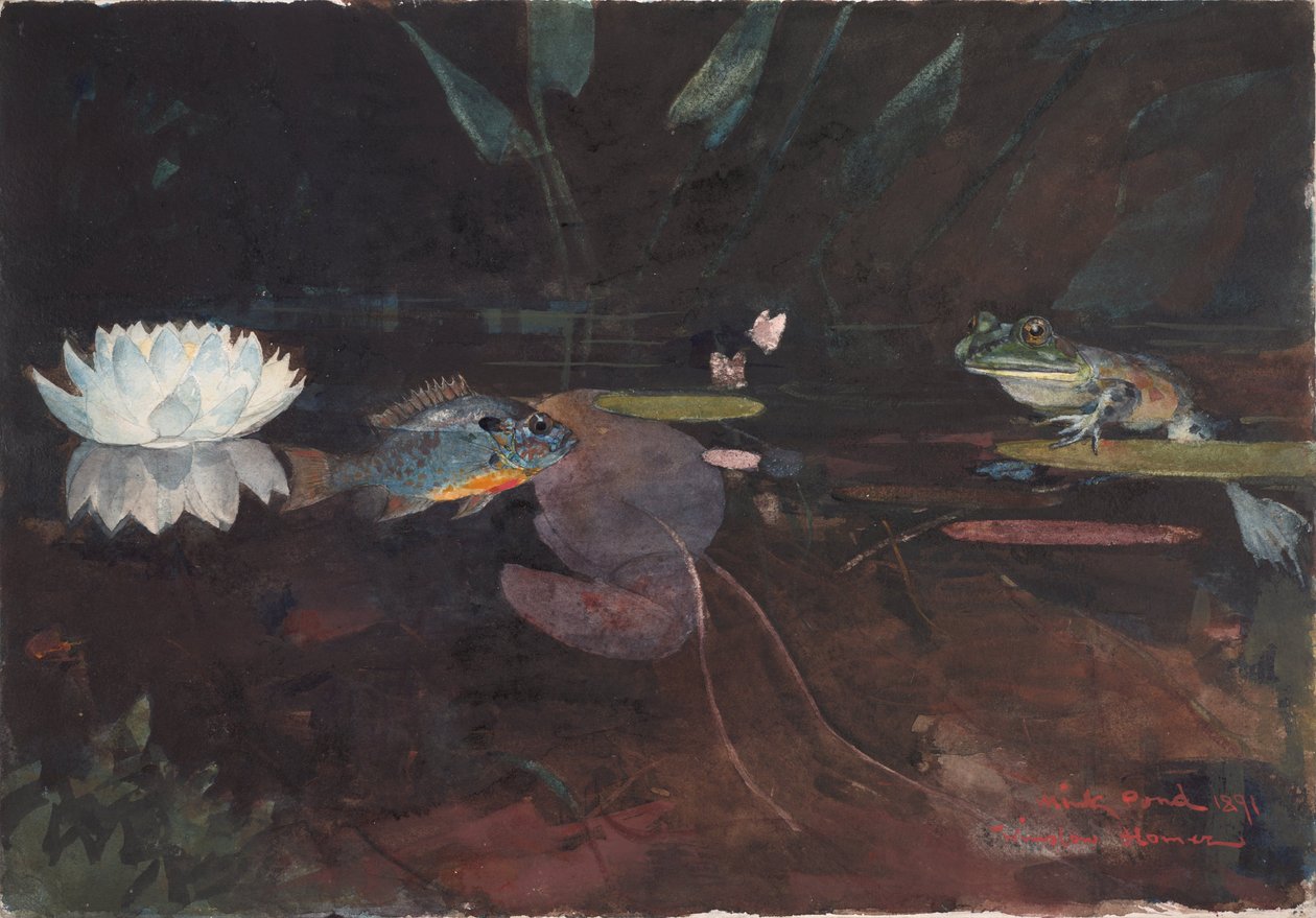 Staw Mink autorstwa Winslow Homer
