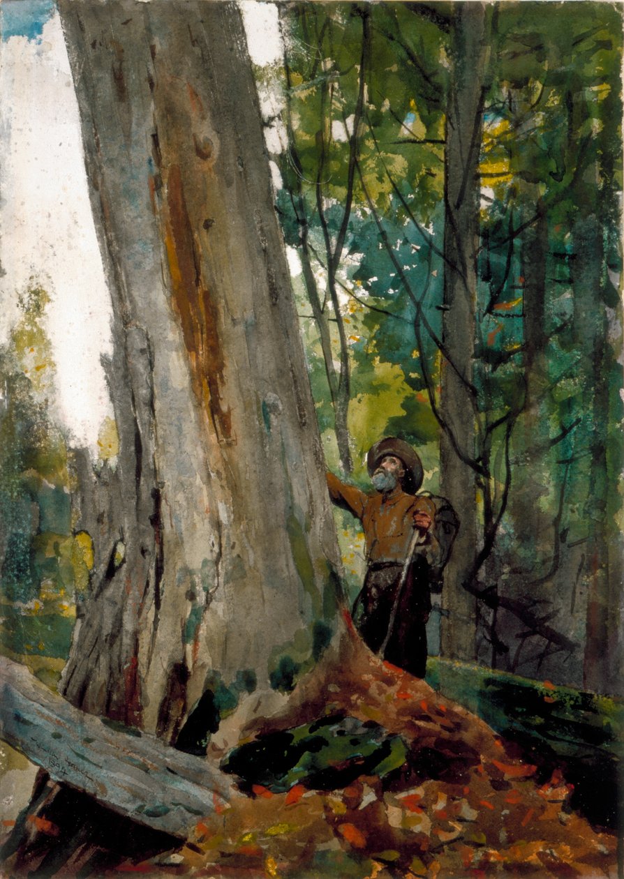 Starzy przyjaciele, 1894 (wc nad ołówkiem na papierze) autorstwa Winslow Homer