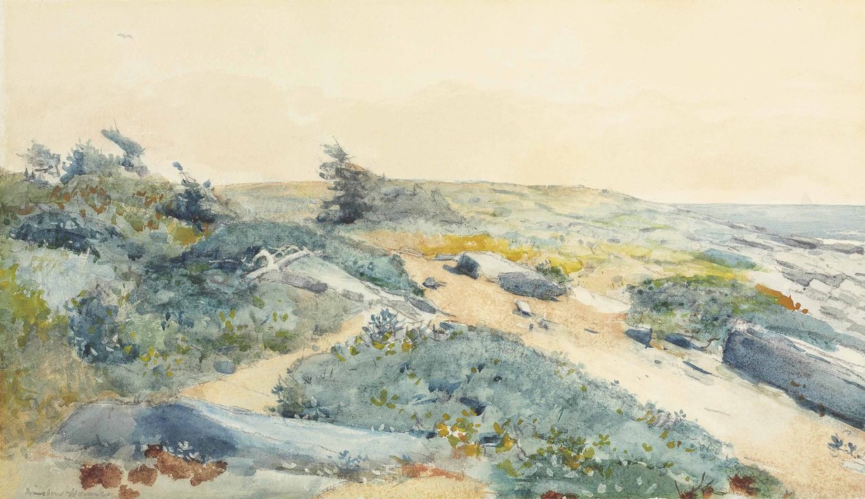 Prouts Neck autorstwa Winslow Homer