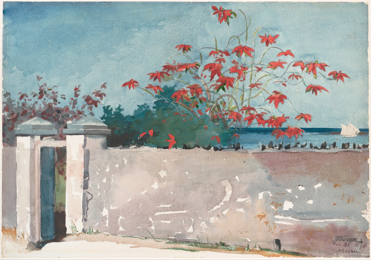 Ściana, Nassau autorstwa Winslow Homer