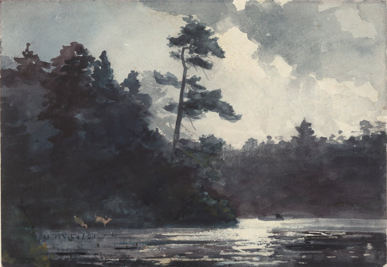 Jezioro Adirondack autorstwa Winslow Homer