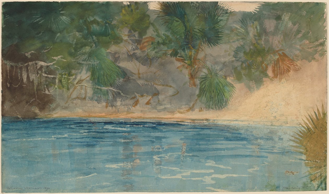 Blue Spring, Floryda autorstwa Winslow Homer