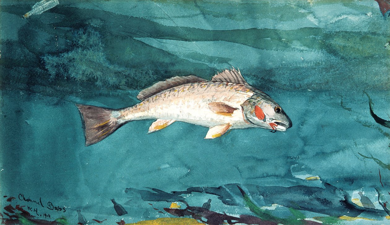 Kanał basowy autorstwa Winslow Homer