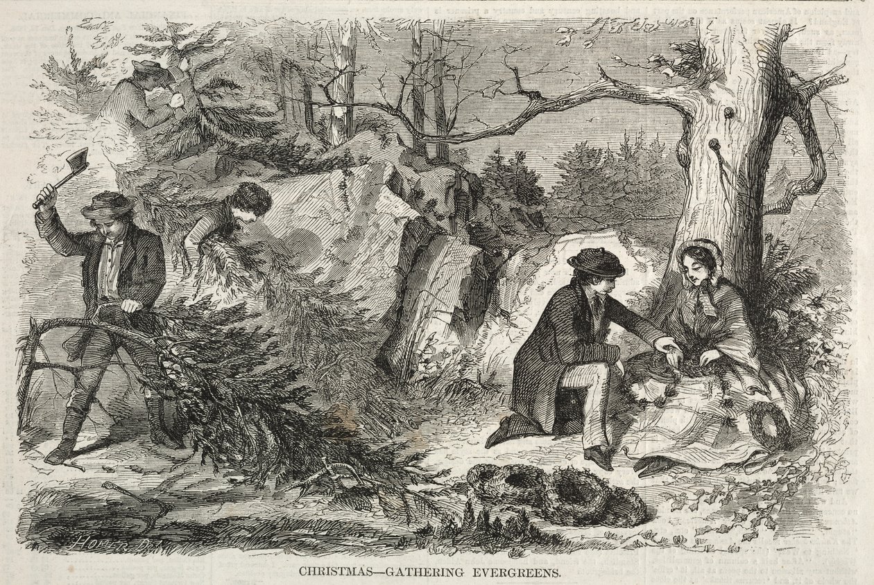 Boże Narodzenie - Zbieranie Evergreenów, 1858. autorstwa Winslow Homer