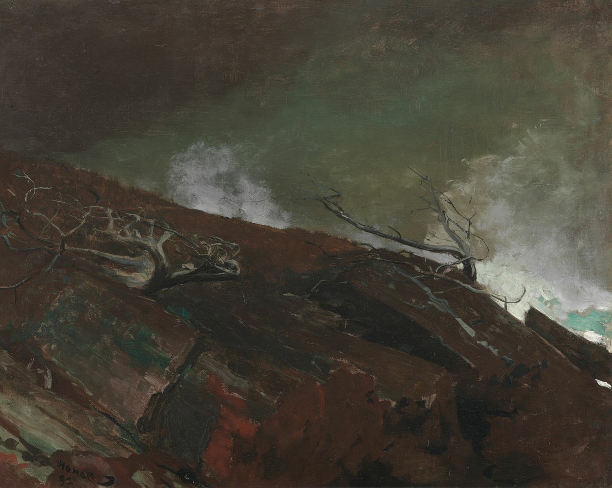 Wybrzeże Maine autorstwa Winslow Homer