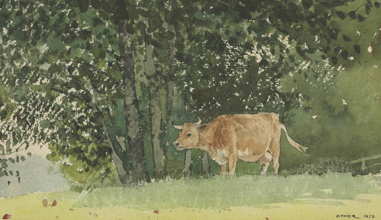 Krowa na pastwisku autorstwa Winslow Homer