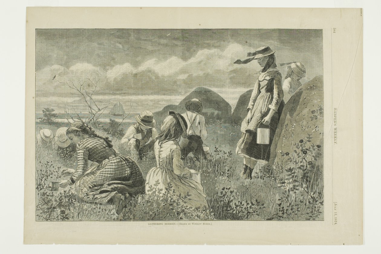 Zbieranie jagód autorstwa Winslow Homer