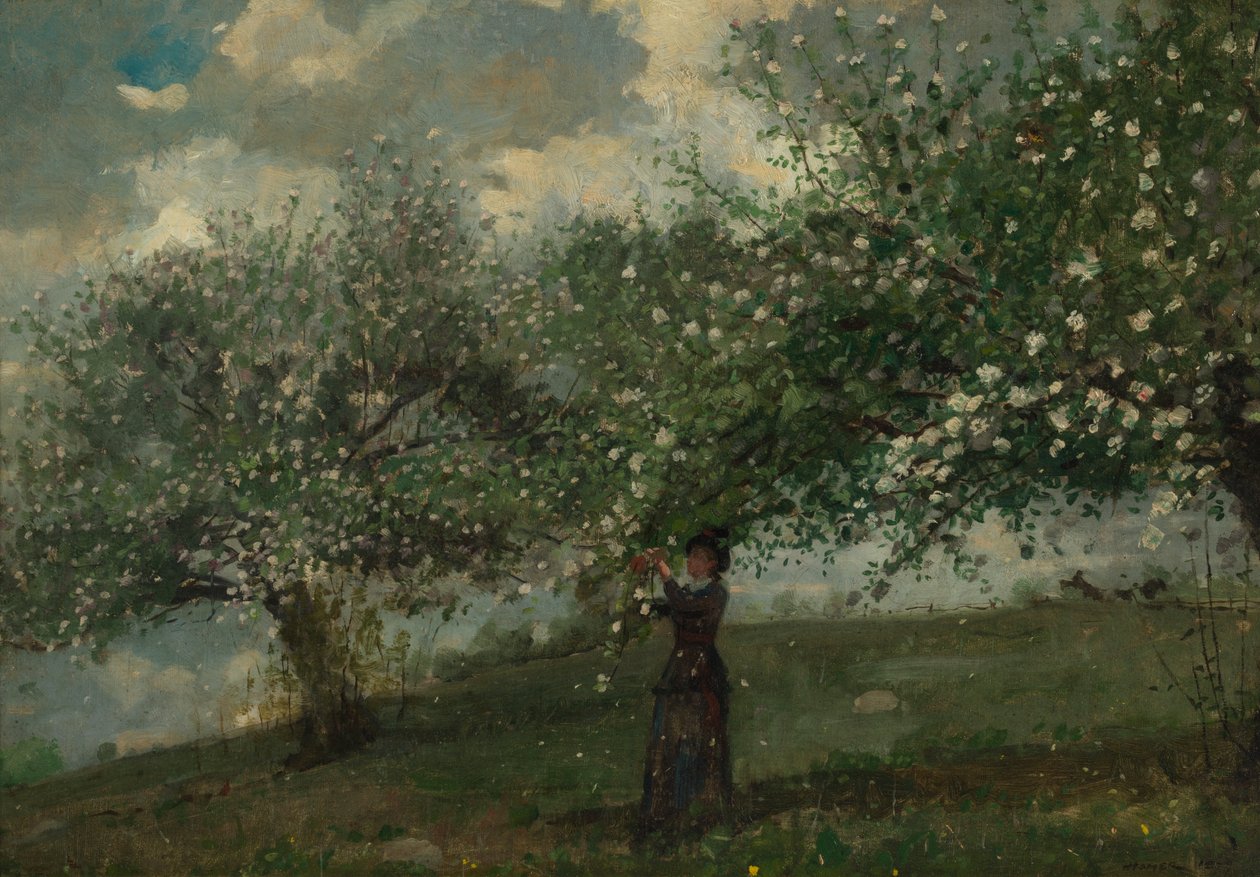 Dziewczyna zbierająca kwiaty jabłoni, 1879. autorstwa Winslow Homer