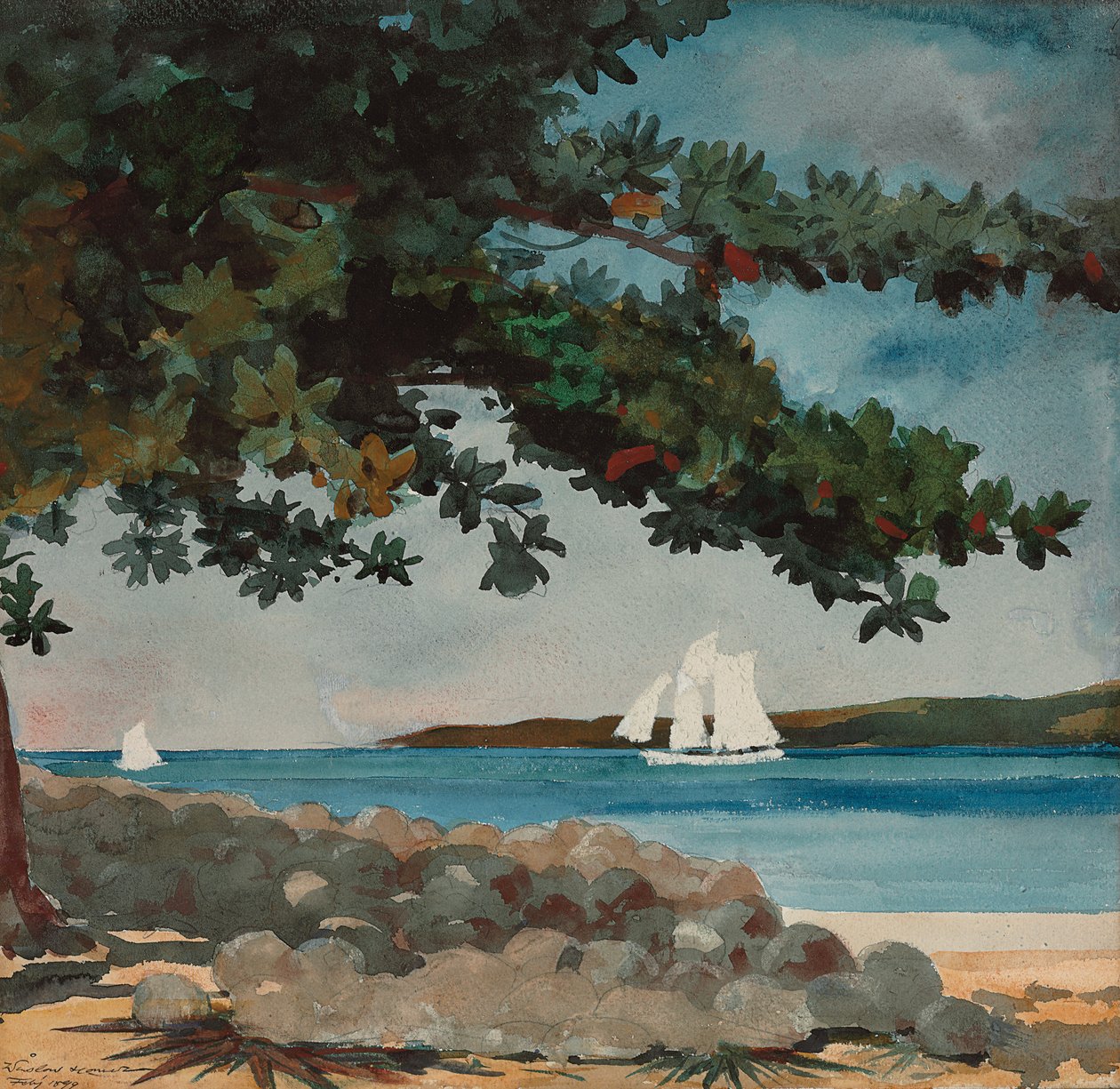 Nassau: Woda i żaglówka, 1899 autorstwa Winslow Homer