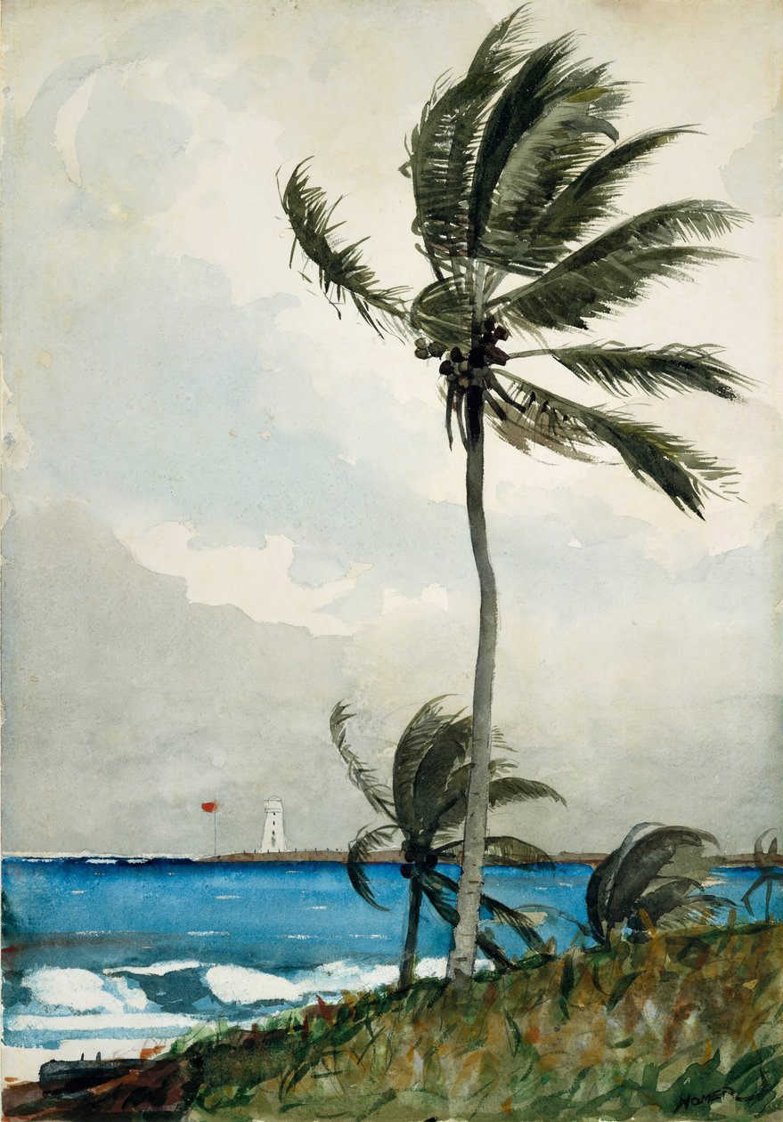 Palma, Nassau, 1898. autorstwa Winslow Homer