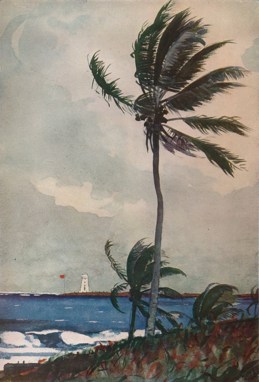 Palmy, Nassau, 1898, 1932 autorstwa Winslow Homer